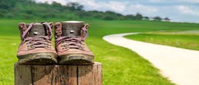 Randonnée des châtaignes